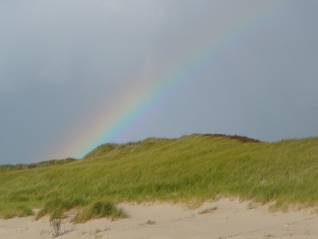 sylt2012_2